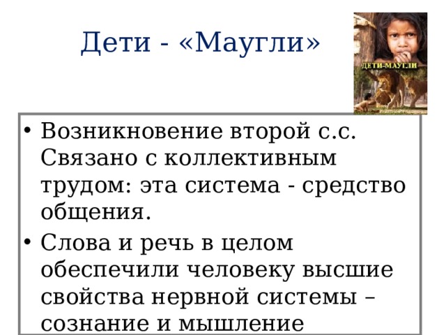 Дети - «Маугли» Возникновение второй с.с. Связано с коллективным трудом: эта система - средство общения. Слова и речь в целом обеспечили человеку высшие свойства нервной системы – сознание и мышление 