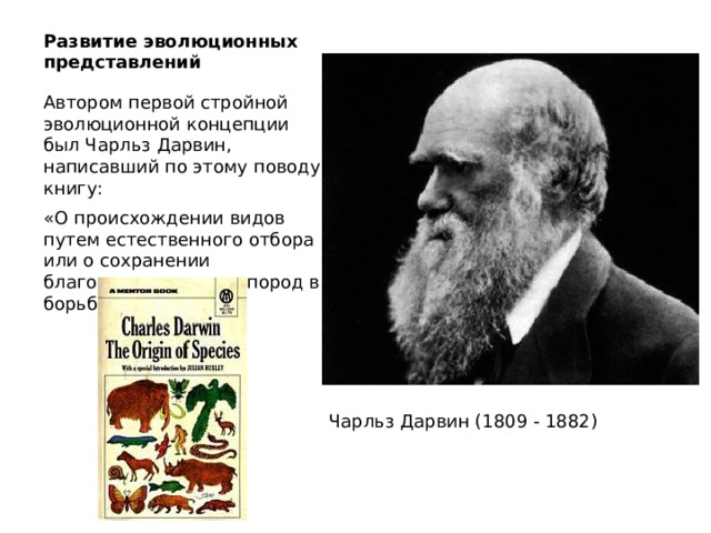 Развитие эволюционных представлений Автором первой стройной эволюционной концепции был Чарльз Дарвин, написавший по этому поводу книгу: «О происхождении видов путем естественного отбора или о сохранении благоприятственных пород в борьбе за жизнь» Чарльз Дарвин (1809 - 1882)  