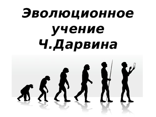 Эволюционное учение Ч.Дарвина 
