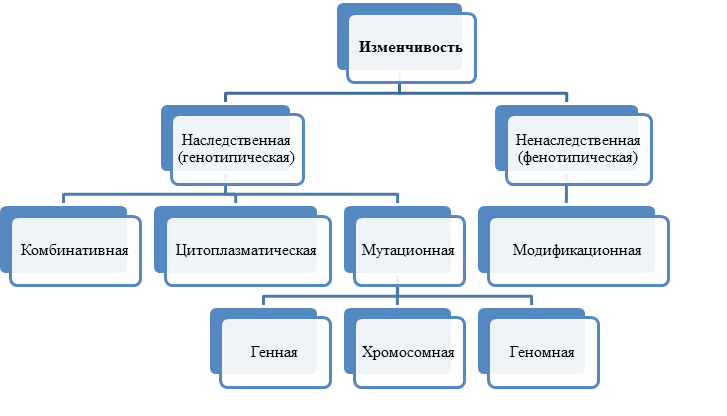 Заполнить схему изменчивость