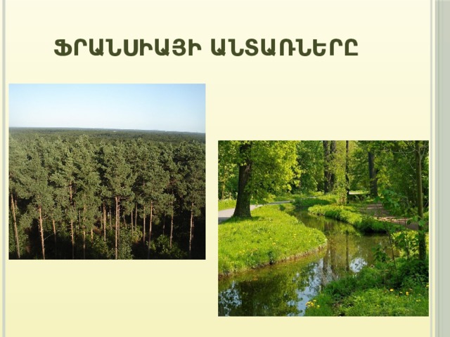 Ֆրանսիայի անտառները 