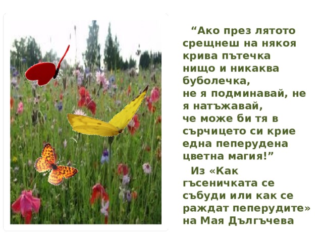  “ Ако през лятото срещнеш на някоя крива пътечка  нищо и никаква буболечка,   не я подминавай, не я натъжавай,  че може би тя в сърчицето си крие  една пеперудена цветна магия!”  Из «Как гъсеничката се събуди или как се раждат пеперудите» на Мая Дългъчева 