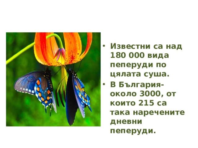 Известни са над 180 000 вида пеперуди по цялата суша. В България- около 3000, от които 215 са така наречените дневни пеперуди. 