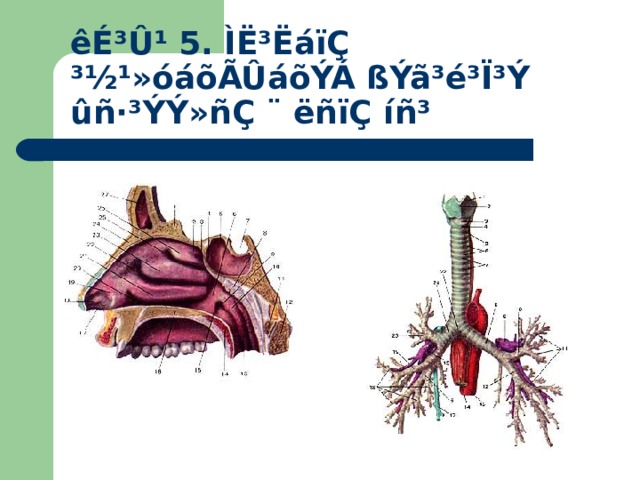 êÉ³Û¹ 5. ÌË³ËáïÇ ³½¹»óáõÃÛáõÝÁ ßÝã³é³Ï³Ý ûñ·³ÝÝ»ñÇ ¨ ëñïÇ íñ³ 