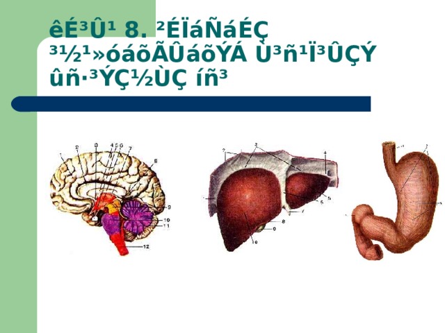 êÉ³Û¹ 8. ²ÉÏáÑáÉÇ ³½¹»óáõÃÛáõÝÁ Ù³ñ¹Ï³ÛÇÝ ûñ·³ÝÇ½ÙÇ íñ³ 