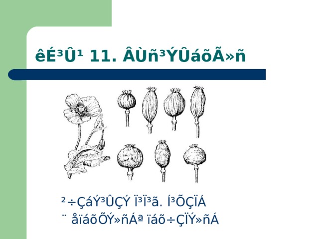 êÉ³Û¹ 11. ÂÙñ³ÝÛáõÃ»ñ ²÷ÇáÝ³ÛÇÝ Ï³Ï³ã. Í³ÕÇÏÁ ¨ åïáõÕÝ»ñÁª ïáõ÷ÇÏÝ»ñÁ 