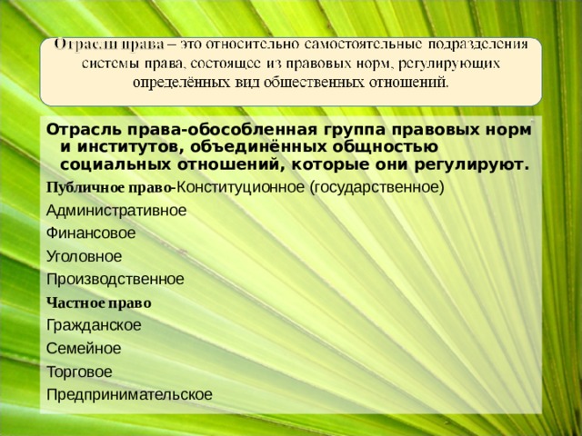 Отрасль права-обособленная группа правовых норм и институтов, объединённых общностью социальных отношений, которые они регулируют. Публичное право- Конституционное (государственное) Административное Финансовое Уголовное Производственное Частное право Гражданское Семейное Торговое Предпринимательское 