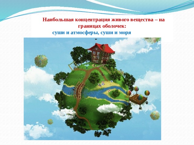  Наибольшая концентрация живого вещества – на границах оболочек:  суши и атмосферы, суши и моря 