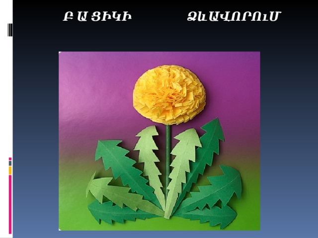  Բ Ա ՑԻԿԻ ՁևԱՎՈՐՈւՄ   