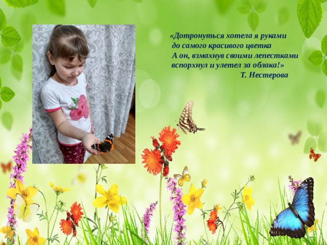  «Дотронуться хотела я руками  до самого красивого цветка  А он, взмахнув своими лепестками  вспорхнул и улетел за облака!»  Т. Нестерова  