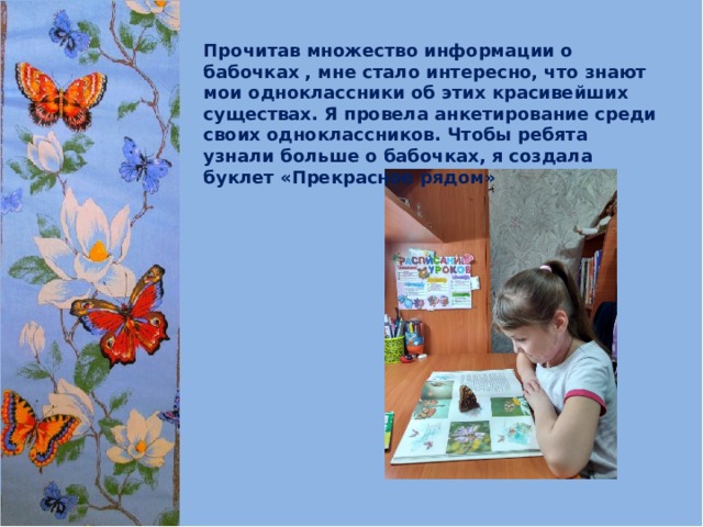 Прочитав множество информации о бабочках , мне стало интересно, что знают мои одноклассники об этих красивейших существах. Я провела анкетирование среди своих одноклассников. Чтобы ребята узнали больше о бабочках, я создала буклет «Прекрасное рядом»   