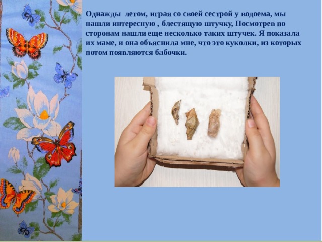 Однажды летом, играя со своей сестрой у водоема, мы нашли интересную , блестящую штучку, Посмотрев по сторонам нашли еще несколько таких штучек. Я показала их маме, и она объяснила мне, что это куколки, из которых потом появляются бабочки.  