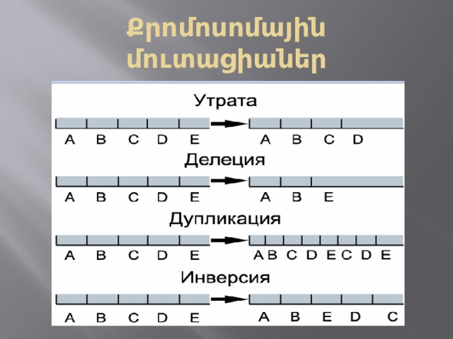Քրոմոսոմային մուտացիաներ 