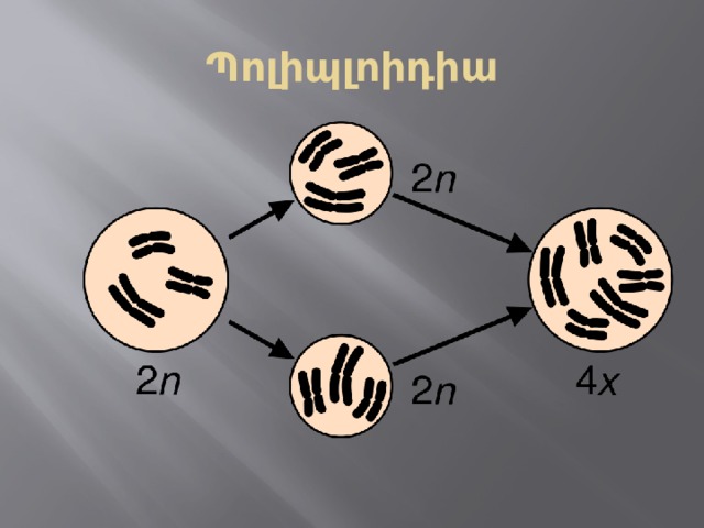 Պոլիպլոիդիա 