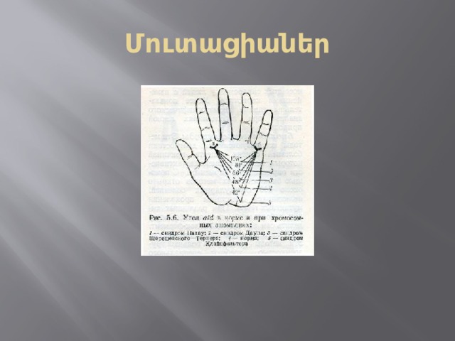 Մուտացիաներ 