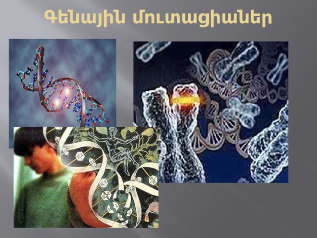 Գենային մուտացիաներ 