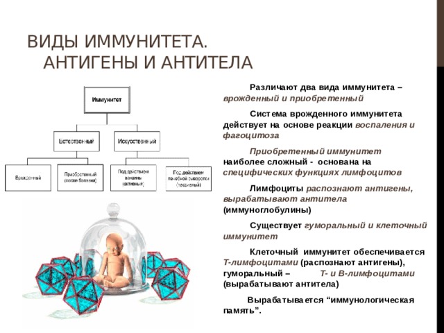 Ибп на основе специфических антител какая группа