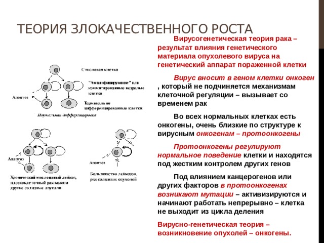 Какой формы память не существует a генетическая b прижизненная c запечатлевающая d оценочная