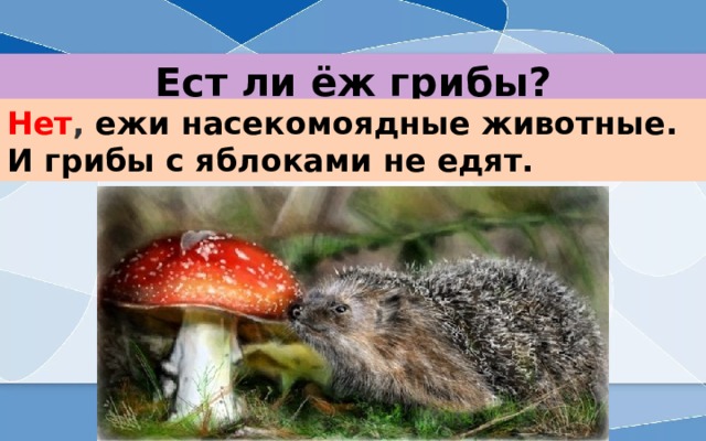 Ест ли ёж грибы? Нет , ежи насекомоядные животные. И грибы с яблоками не едят.   
