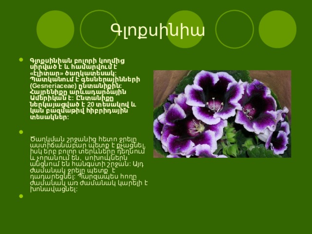  Գլոքսինիա Գլոքսինիան բոլորի կողմից սիրված է և համարվում է «էլիտար» ծաղկատեսակ: Պատկանում է գեսներայինների (Gesneriaceae) ընտանիքին: Հայրենիքը արևադարձային Ամերիկան է: Ընտանիքը ներկայացված է 20 տեսակով և կան բազմաթիվ հիբրիդային տեսակներ:    Ծաղկման շրջանից հետո ջրելը աստիճանաբար պետք է քչացնել, իսկ երբ բոլոր տերևները դեղնում և չորանում են,  սոխուկներն անցնում են հանգստի շրջան: Այդ ժամանակ ջրելը պետք  է դադարեցնել: Պարզապես հողը ժամանակ առ ժամանակ կարելի է խոնավացնել: 