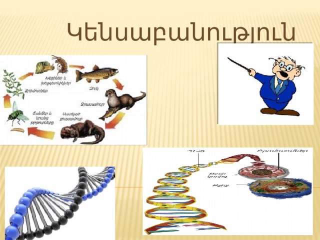 Կենսաբանություն 
