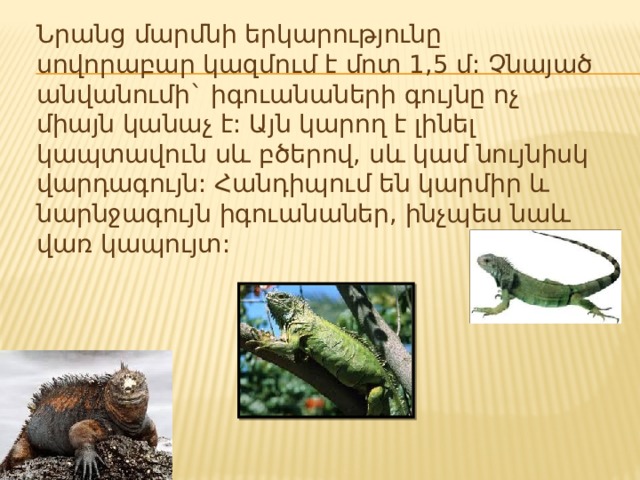 Նրանց մարմնի երկարությունը սովորաբար կազմում է մոտ 1,5 մ: Չնայած անվանումի` իգուանաների գույնը ոչ միայն կանաչ է: Այն կարող է լինել կապտավուն սև բծերով, սև կամ նույնիսկ վարդագույն: Հանդիպում են կարմիր և նարնջագույն իգուանաներ, ինչպես նաև վառ կապույտ: 