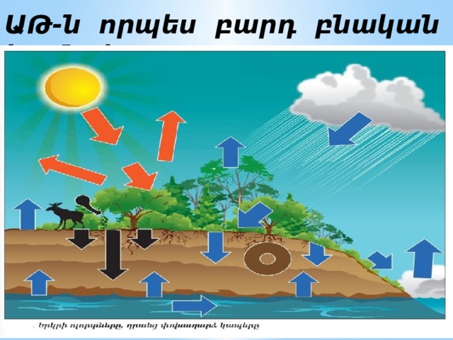 ԱԹ-ն որպես բարդ բնական համալիր 