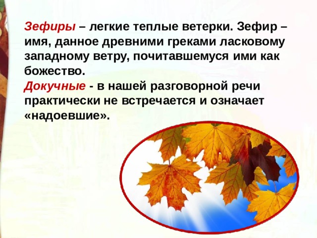 Зефиры  – легкие теплые ветерки. Зефир – имя, данное древними греками ласковому западному ветру, почитавшемуся ими как божество. Докучные - в нашей разговорной речи практически не встречается и означает «надоевшие». 