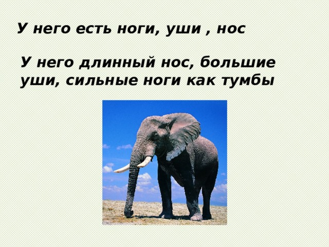 У него есть ноги, уши , нос У него длинный нос, большие уши, сильные ноги как тумбы 