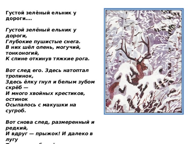 Густой зелёный ельник у дороги….  Густой зелёный ельник у дороги,  Глубокие пушистые снега.  В них шёл олень, могучий, тонконогий,  К спине откинув тяжкие рога.   Вот след его. Здесь натоптал тропинок,  Здесь ёлку гнул и белым зубом скрёб —  И много хвойных крестиков, остинок  Осыпалось с макушки на сугроб.   Вот снова след, размеренный и редкий,  И вдруг — прыжок! И далеко в лугу  Теряется собачий гон — и ветки,  Обитые рогами на бегу...   О, как легко он уходил долиной!  Как бешено, в избытке свежих сил,  В стремительности радостно-звериной,  Он красоту от смерти уносил! 