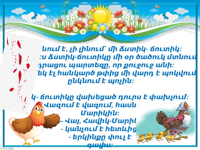  Լինում է, չի լինում` մի Ճստիկ- ճուտիկ:   Էս Ճստիկ-ճուտիկը մի օր ծածուկ մտնում     դրացու պարտեզը, որ քուջուջ անի:    Մեկ էլ հանկարծ թփից մի վարդ է պոկվում,   ընկնում է պոչին:    Ճստիկ- ճուտիկը վախեցած դուրս է փախչում:   Վազում է վազում, հասնում է Հավիկ-Մարիկին:  – Վայ, Հավիկ-Մարիկ,  - կանչում է հետևից,   - երկինքը փուլ է   գալիս:   Դրացի- հարևան  