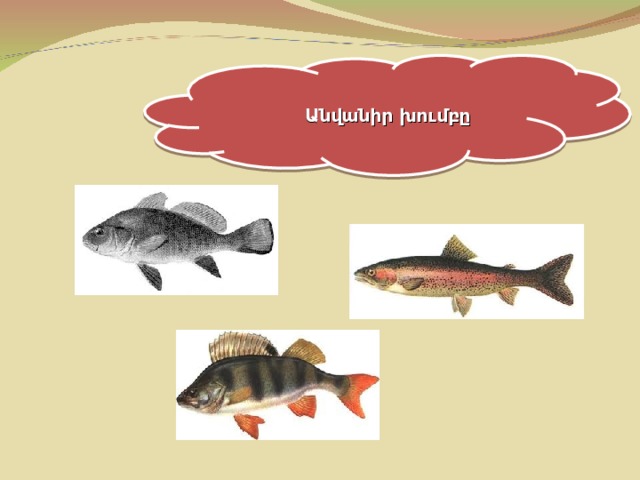 Անվանիր խումբը