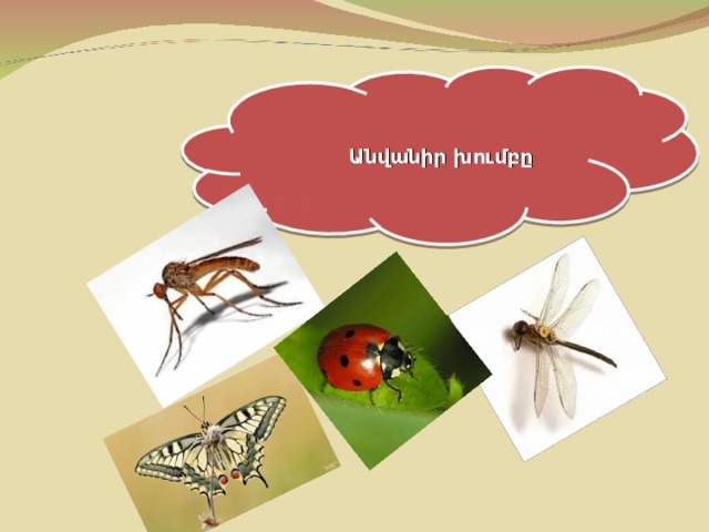 Անվանիր խումբը