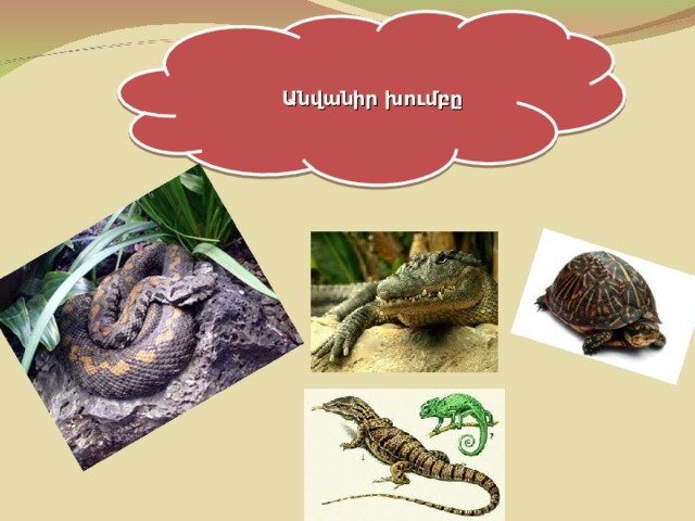 Անվանիր խումբը