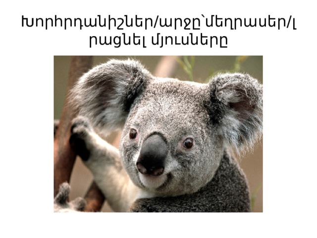 Խորհրդանիշներ/արջը՝մեղրասեր/լրացնել մյուսները 