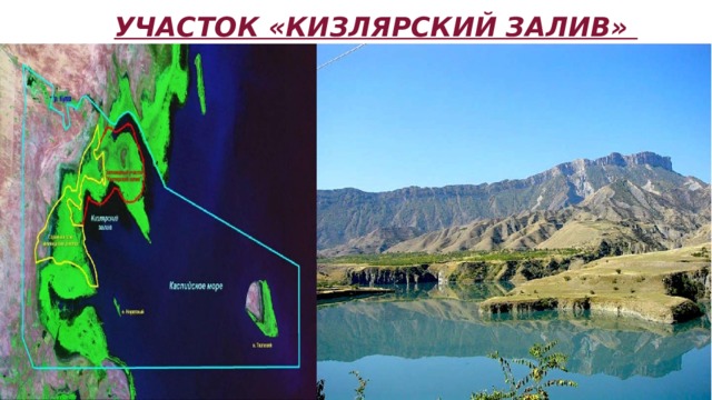 Дагестанский заповедник презентация