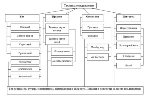 Составьте схему последовательного обучения ударам ногой и опишите технику перечисленных приемов