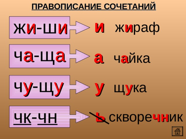 ПРАВОПИСАНИЕ СОЧЕТАНИЙ ж и -ш и и ж и раф ч а -щ а а ч а йка ч у -щ у у щ у ка чк - чн ь скворе чн ик 