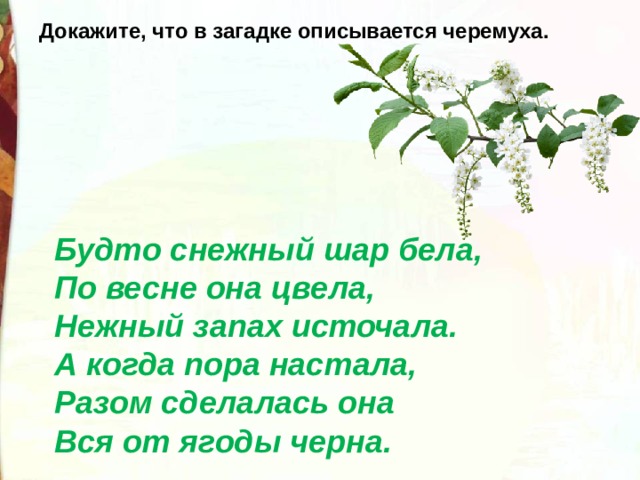 Есенин сыплет черемуха снегом презентация 3 класс перспектива