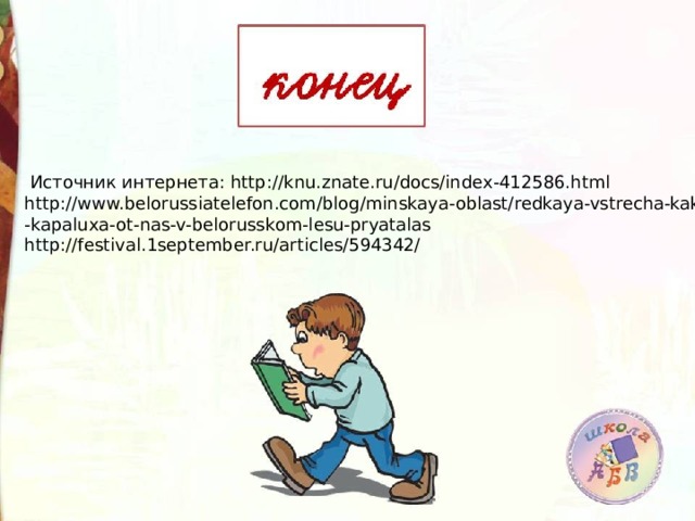  Источник интернета: http://knu.znate.ru/docs/index-412586.html http://www.belorussiatelefon.com/blog/minskaya-oblast/redkaya-vstrecha-kak -kapaluxa-ot-nas-v-belorusskom-lesu-pryatalas http://festival.1september.ru/articles/594342/ 