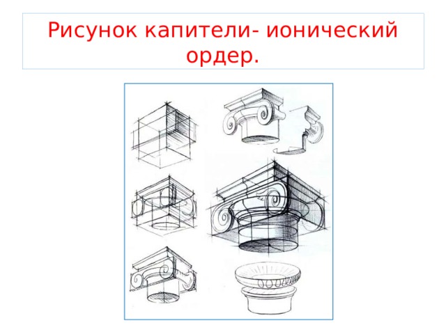 Рисунок капители- ионический ордер. 