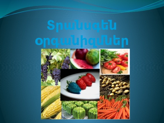 Տրանսգեն օրգանիզմներ  