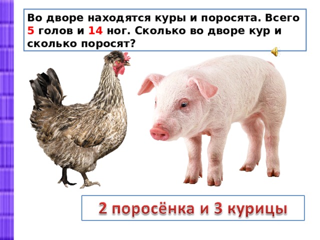 Сколько всего кур