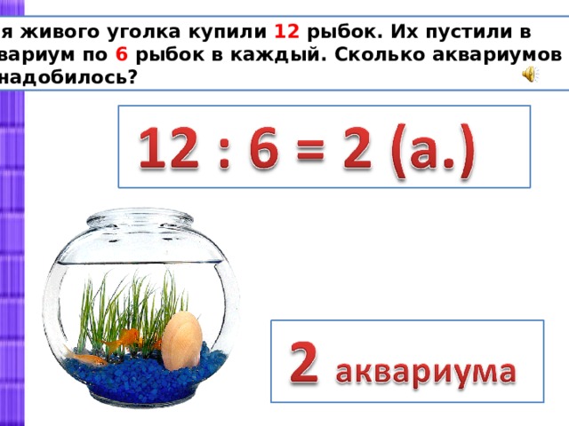 Всеми аквариумах было поровну рыбок. Сколько рыбок в аквариуме. Задача про рыбок в аквариуме. Задача про аквариум. Решение задач про аквариумы.