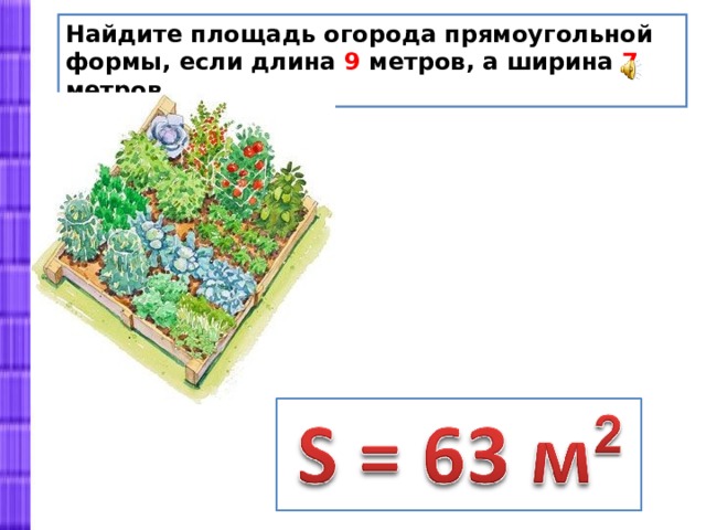 Длина огорода прямоугольной формы 30. Площадь прямоугольной формы. Найди площадь огорода. Длина огорода прямоугольной. Периметр огорода.