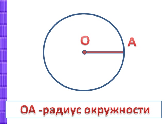 Окружность и круг презентация 8 класс