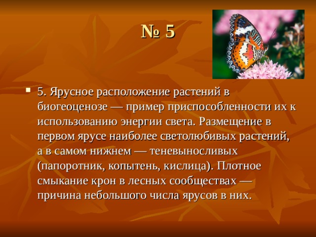 Приспособленность видообразование