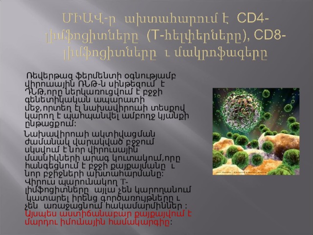  Ռեվերթազ ֆերմենտի օգնությամբ վիրուսային ՌՆԹ-ն սինթեզում է ԴՆԹ,որը ներկառուցվում է բջջի գենետիկական ապարատի մեջ,որտեղ էլ նախավիրուսի տեսքով կարող է պահպանվել ամբողջ կյանքի ընթացքում:  Նախավիրուսի ակտիվացման ժամանակ վարակված բջջում սկսվում է նոր վիրուսային մասնիկների արագ կուտակում,որը հանգեցնում է բջջի քայքայմանը ւ նոր բջիջների ախտահարմանը: Վիրուս պարունակող Т- լիմֆոցիտները այլւս չեն կարողանում  կատարել իրենց գործառույթները ւ չեն առաջացնում հակամարմիններ : Այսպես աստիճանաբար քայքայվում է մարդու իմունային համակարգիը : 