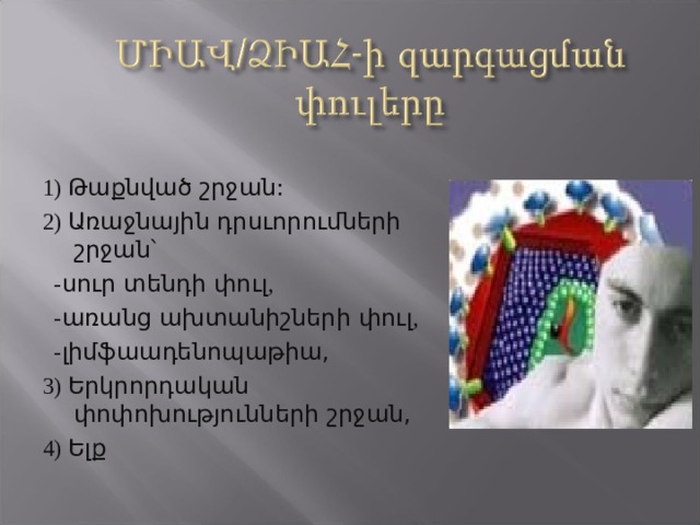 1) Թաքնված շրջան: 2) Առաջնային դրսւորումների շրջան՝   - սուր տենդի փուլ ,  - առանց ախտանիշների փուլ ,  - լիմֆաադենոպաթիա, 3) Երկրորդական փոփոխությունների շրջան, 4) Ելք 