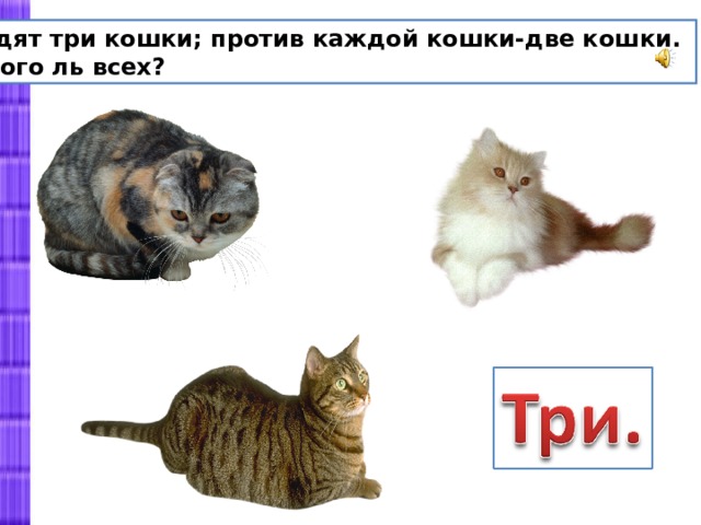 Одна кошка две кошки три кошки. Сидят три кошки против каждой кошки две кошки сколько всего кошек. Сидят три кошки против каждой. Сидят 3 кошки против каждой кошки. Сидят две кошки против каждой кошки две кошки.